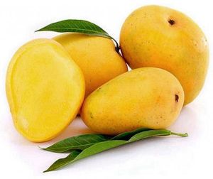 Fresh Yellow Mango