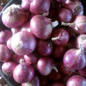 A Grade Red Onion