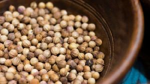 Coriander Seeds