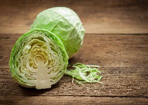 Fresh Cabbage