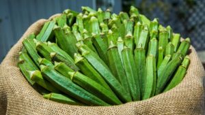 Fresh Okra