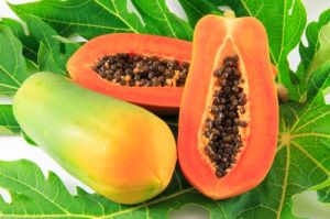 Fresh Papaya