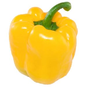 Fresh Yellow Capsicum