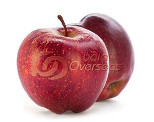 Red Apple