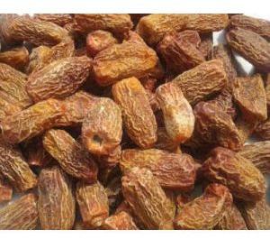 Dried Dates