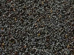 Black Poppy Seeds