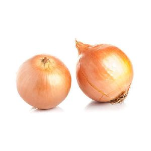 Fresh Yellow Onion