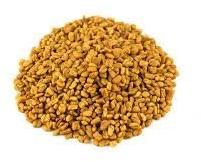 dried fenugreek seeds