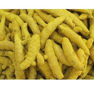 dried turmeric finger