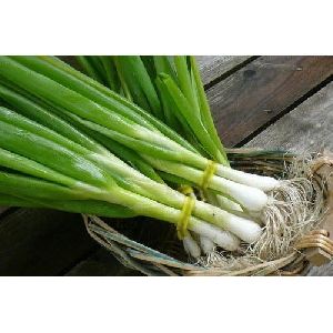 Green Onion