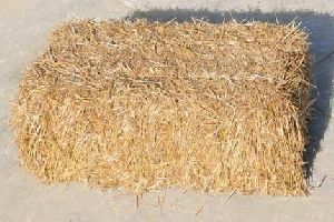 Wheat Straw