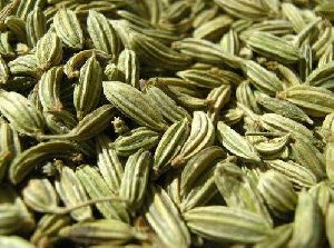 dried fennel seeds