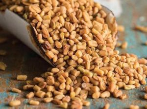 Fresh Fenugreek Seeds