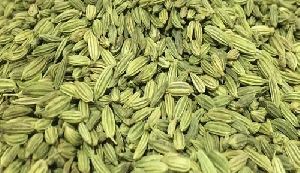 green fennel seeds