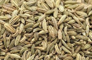 raw fennel seeds