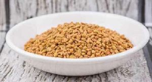 Raw Fenugreek Seeds