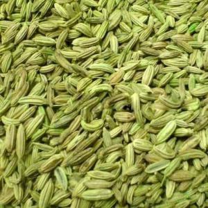 Sweet Fennel Seeds