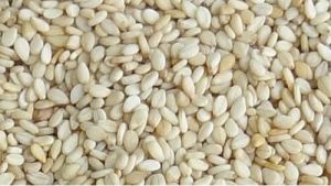 white sesame seeds