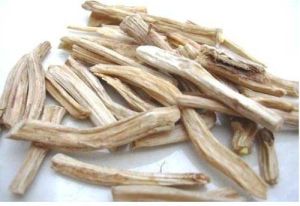 White Shatavari Root