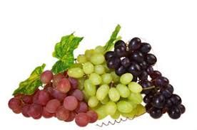 Fresh Organic Grapes