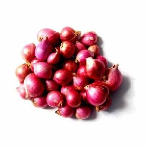 Small Pink Onion