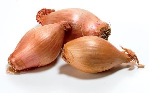 Yellow Shallot Onion