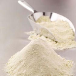 Butter Milk Powder