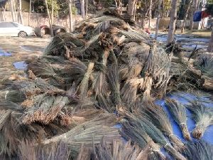 Brooms Raw Material