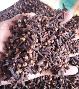 cloves seeds