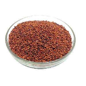 Finger Millet Seeds