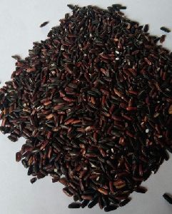 Natural Black Rice
