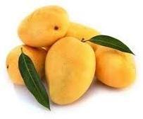 Natural Alphonso Mango