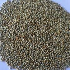 Natural Millet Seeds