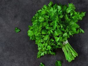 Parsley Herbs