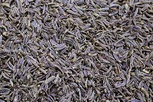 Dried Dill Seeds