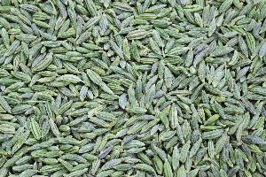 dried fennel seeds