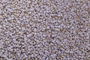 Natural White Sesame Seeds