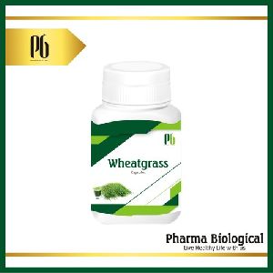 wheatgrass capsule