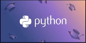 Python Training Services