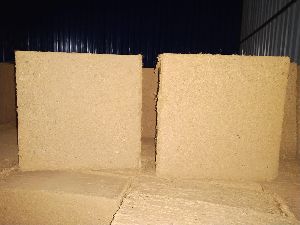 Coir Pith Blocks