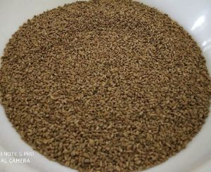 Ajwain Seeds