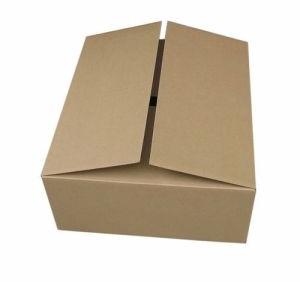 Plain Carton Box