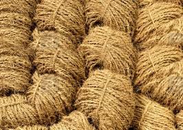 Two Ply Coir Yarn