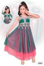 Fancy Lehenga Choli Chaniya Choli for girl