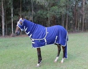 Horse Rug fly sheet