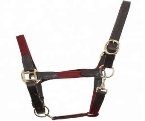 Polyester Nylon Head collar