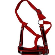 Horse Halter