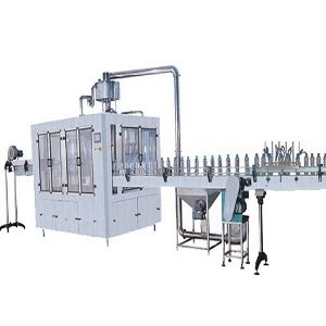 Rinsing Filling & Capping Machine