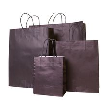 Promotion Shopping Paper Bags