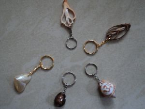Sea shells Key rings